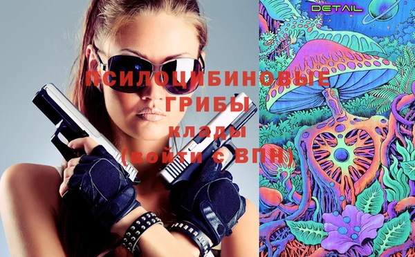 мяу мяу мука Баксан