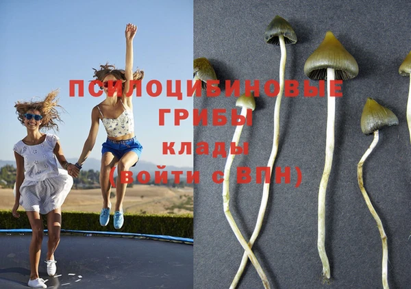 дживик Балабаново