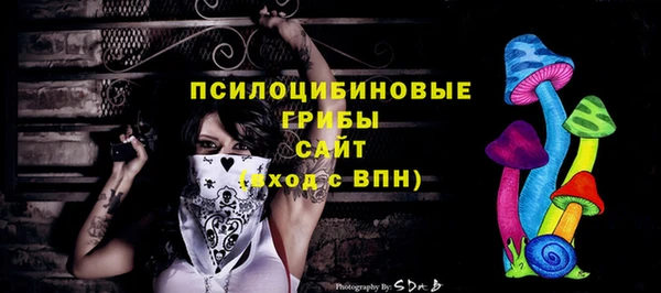 мяу мяу мука Баксан