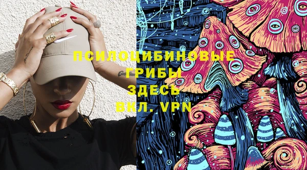 мяу мяу мука Баксан