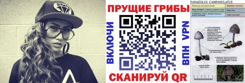Галлюциногенные грибы MAGIC MUSHROOMS Сердобск