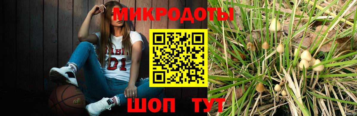 Сердобск  Галлюциногенные грибы MAGIC MUSHROOMS  Вход с VPN 